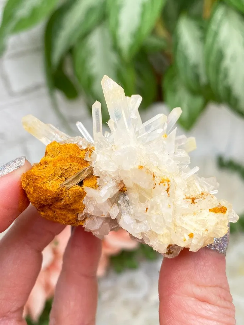 Colombian Mango Quartz