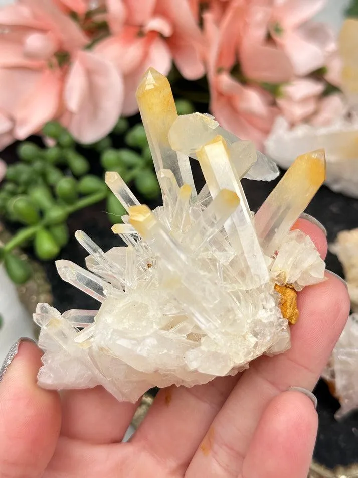 Colombian Mango Quartz