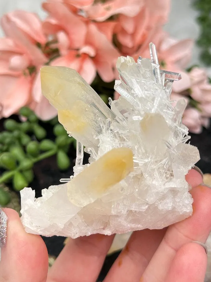 Colombian Mango Quartz